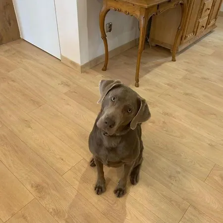 Luxurioeses * Kurort Oybin